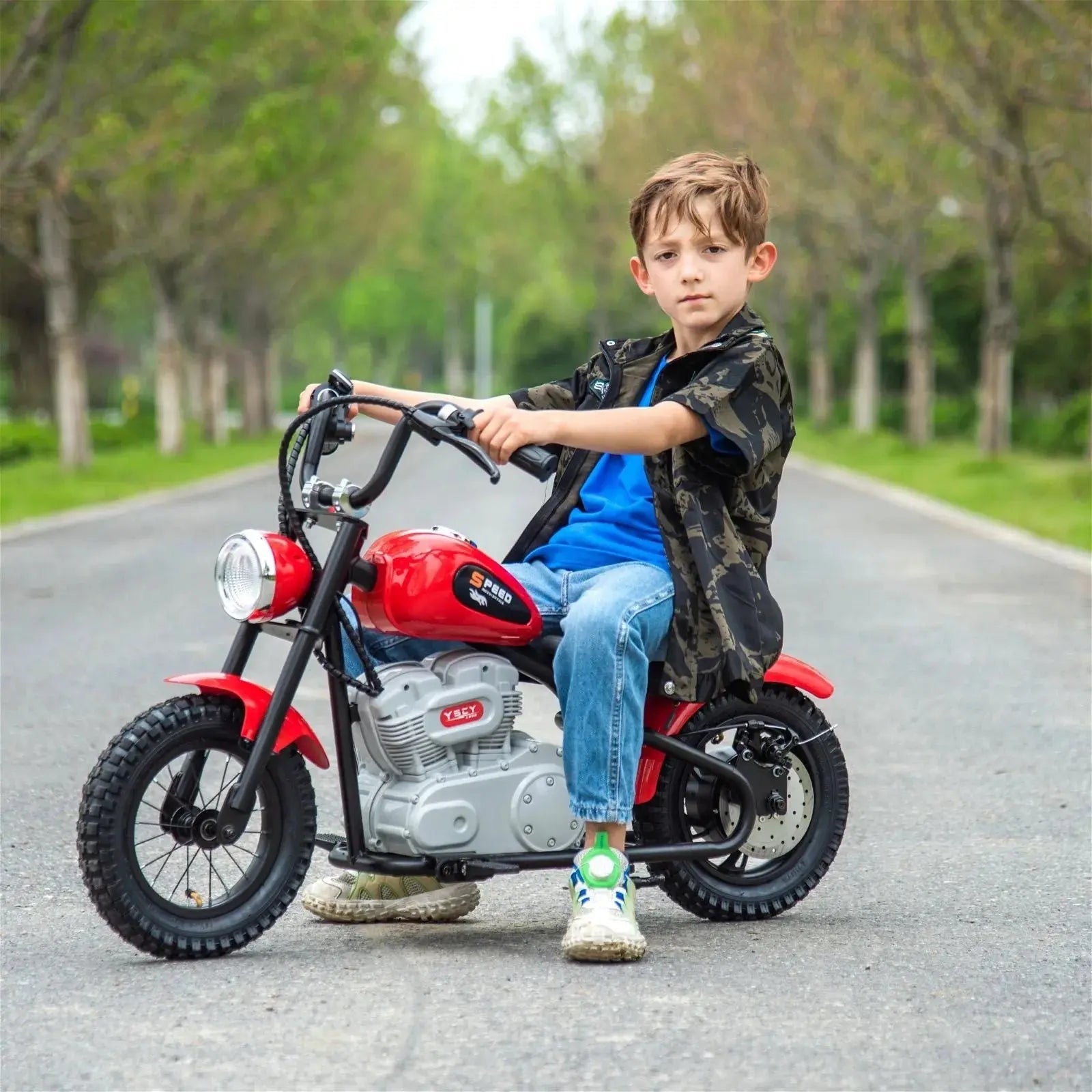 36V Freddo E-Chopper, Leather Seat, Rubber Air Wheels, Brushless Motor Main image