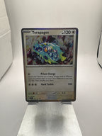 Pokemon Terapagos