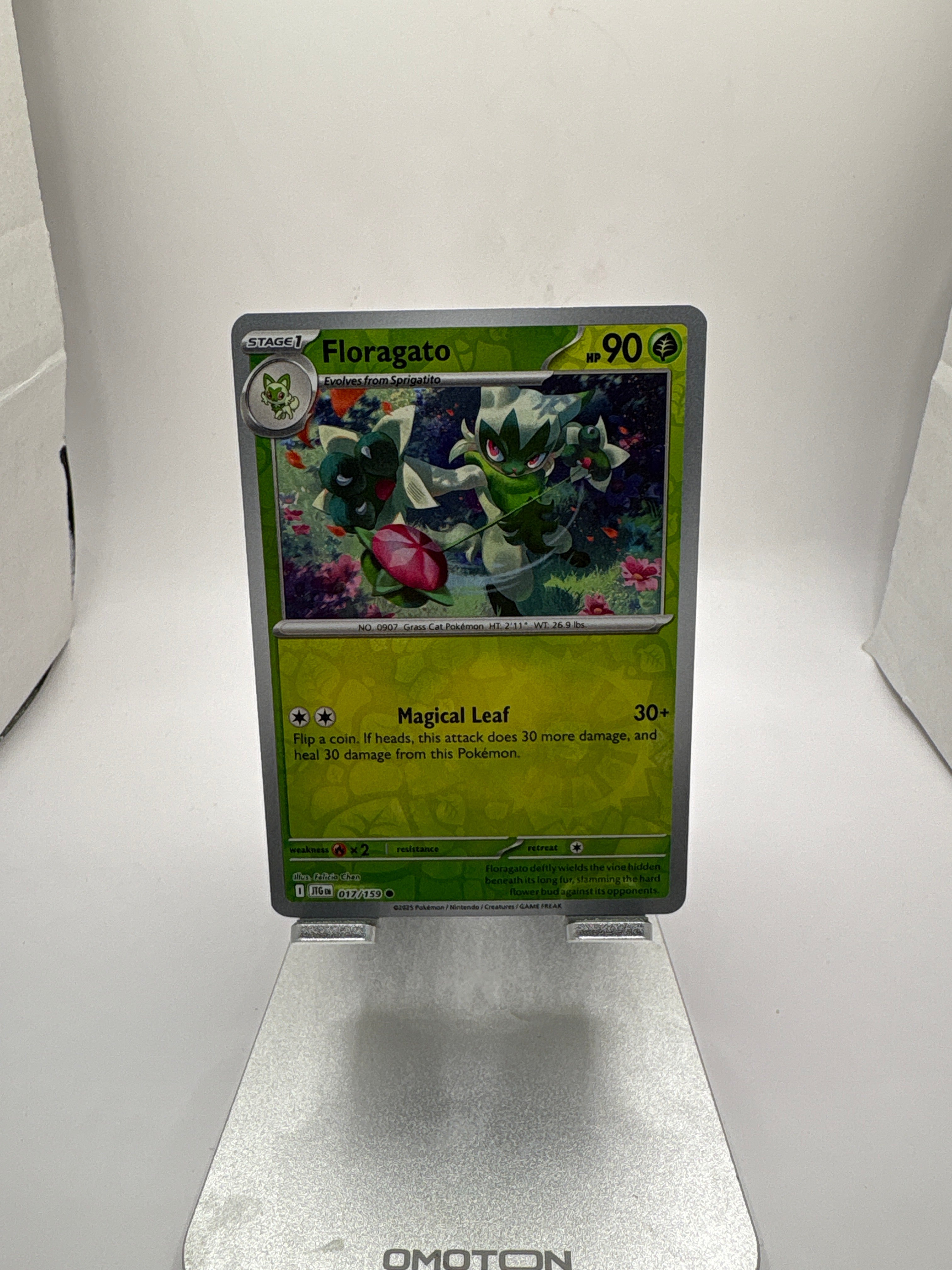 Pokemon Floragato Main image