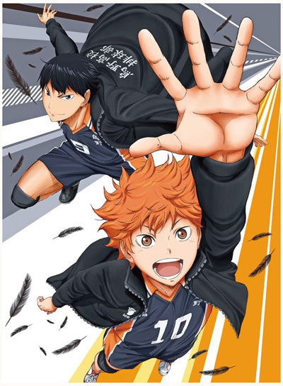 Haikyuu! Wallscroll Main image