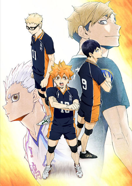 Haikyuu! Wallscroll Main image