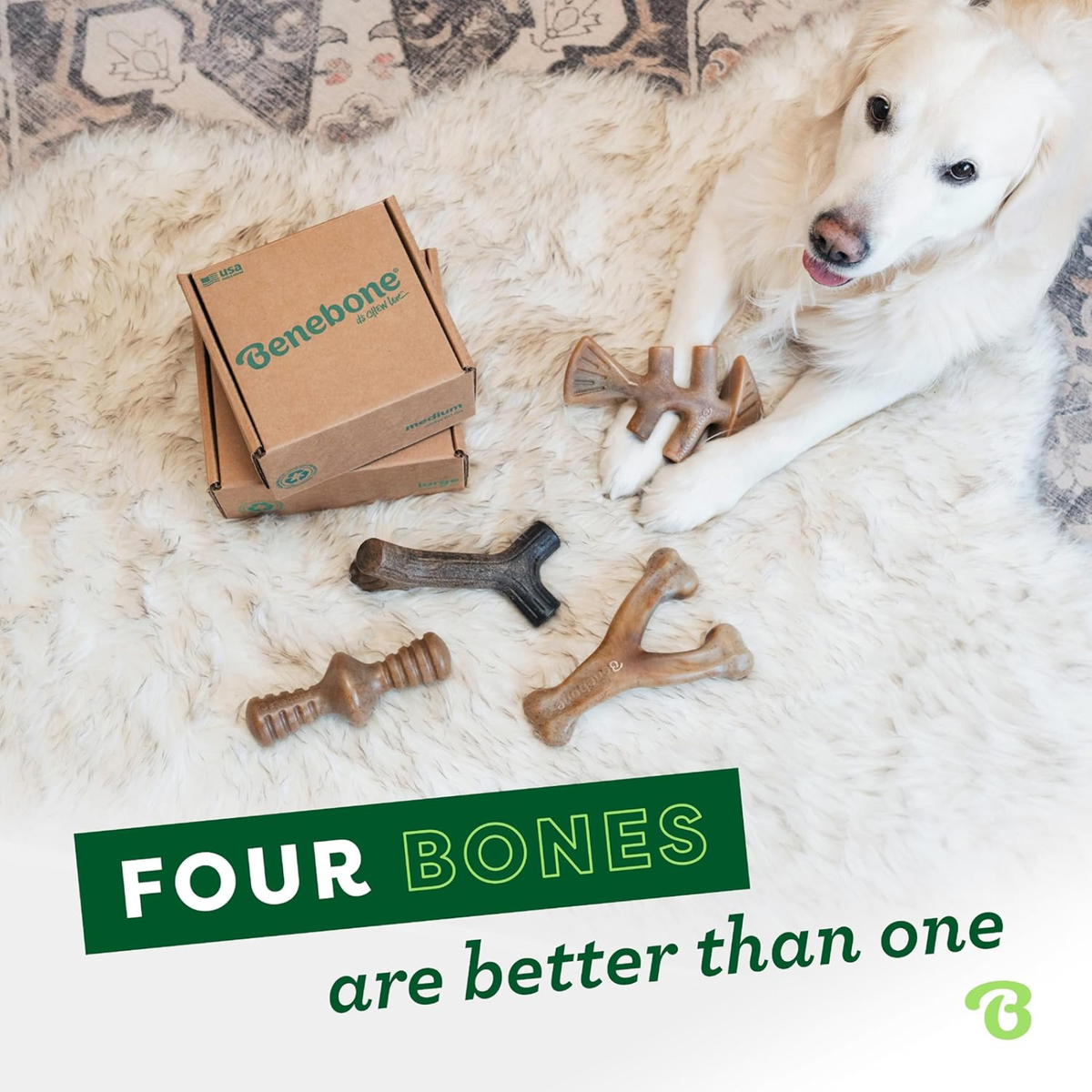 4-Pack Dog Chew Toys for Aggressive Chewers, Made in USA, 60lbs and Under