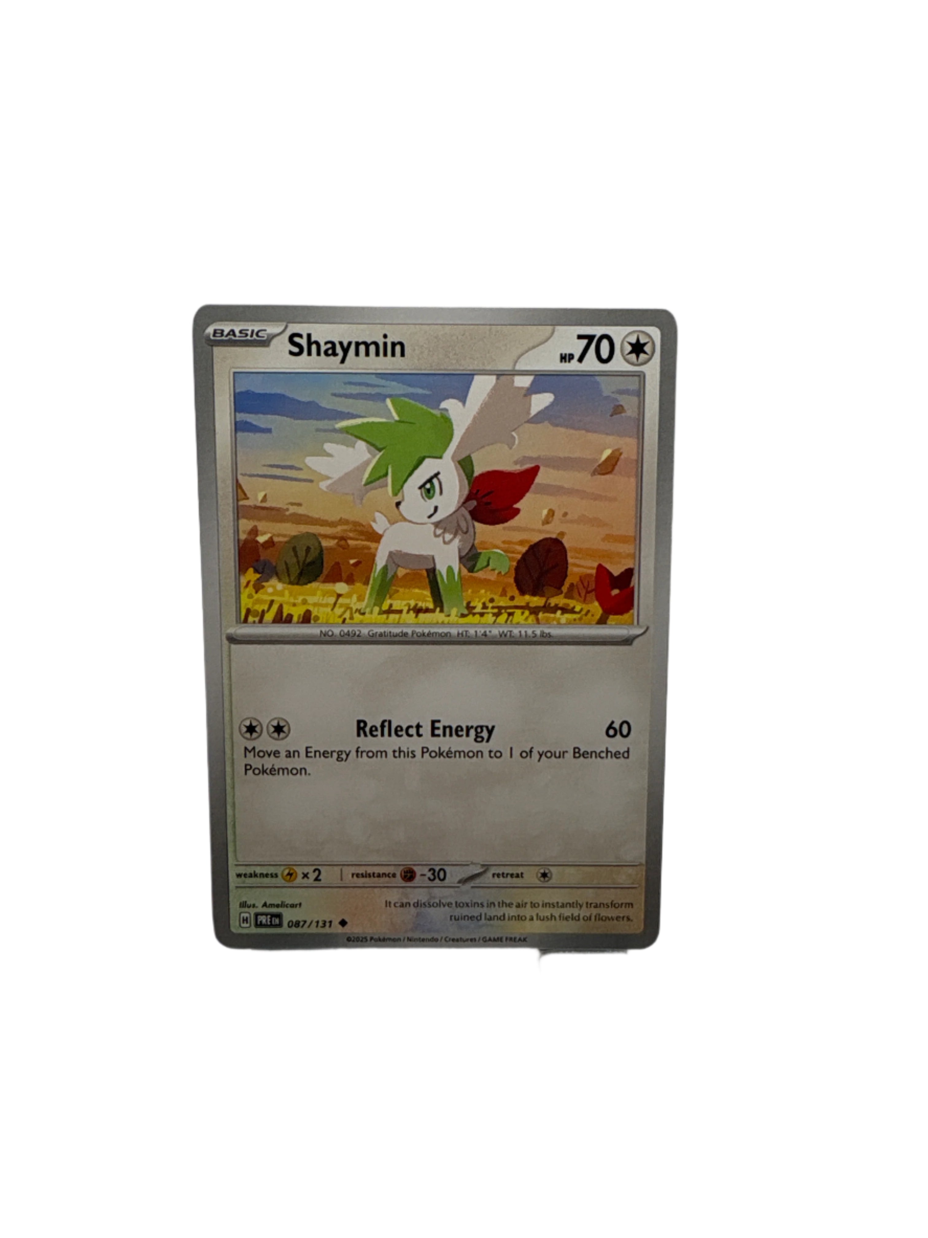 Pokemon Shaymin Main image