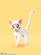 Sailor Venus -Animation Color Edition- "Pretty Guardian Sailor Moon", Bandai Tamashii Nations S.H. Figuarts Figure - Collectors World Toys