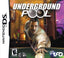 Underground Pool (Nintendo DS)