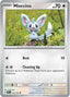Minccino 136/162 - SV05 Temporal Forces Reverse Holofoil