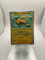 Pokemon Raichu