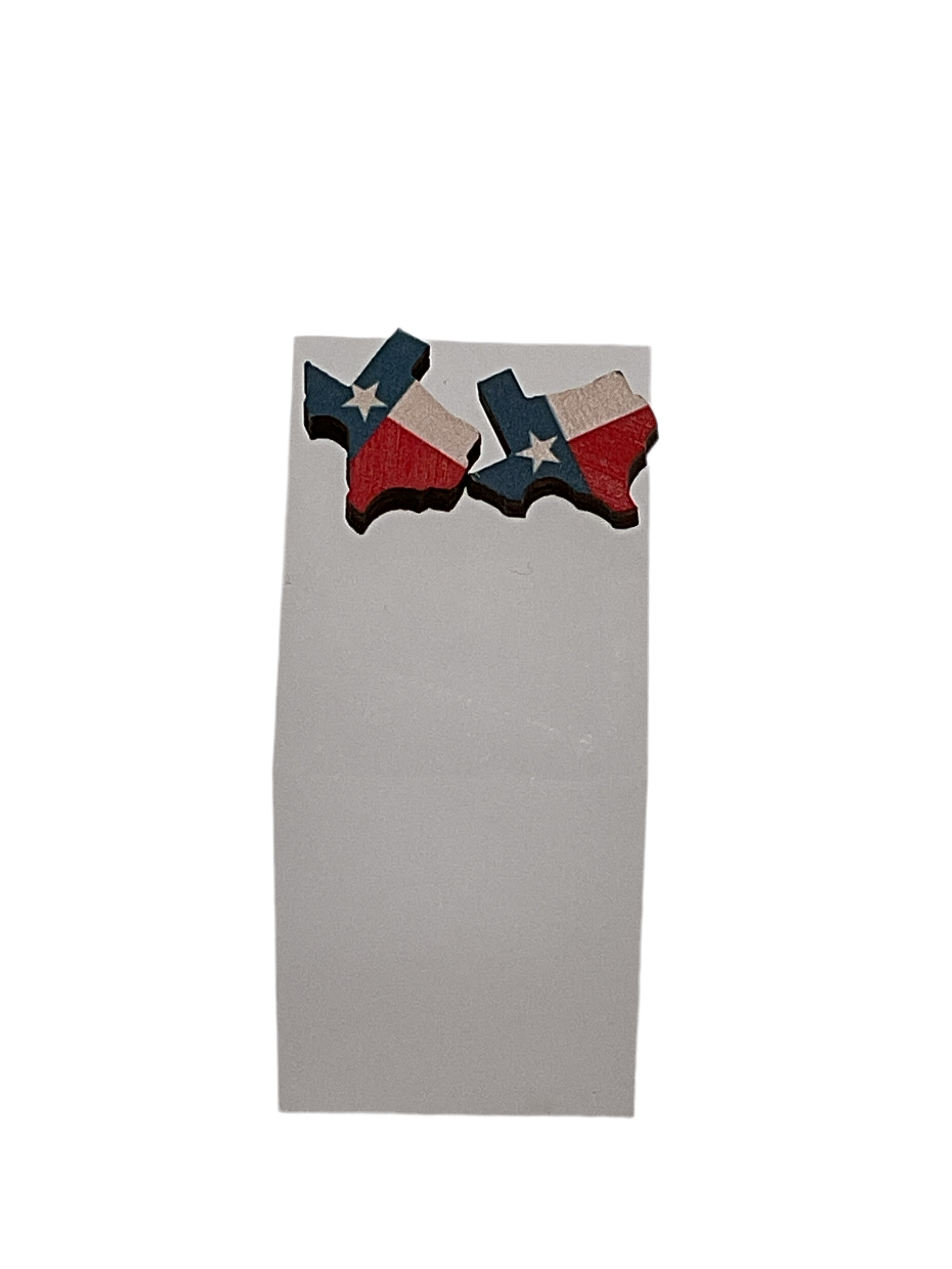 Texas Earrings Main image