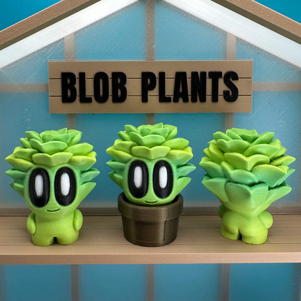 Succulent Blob Plant - Collectors World Toys