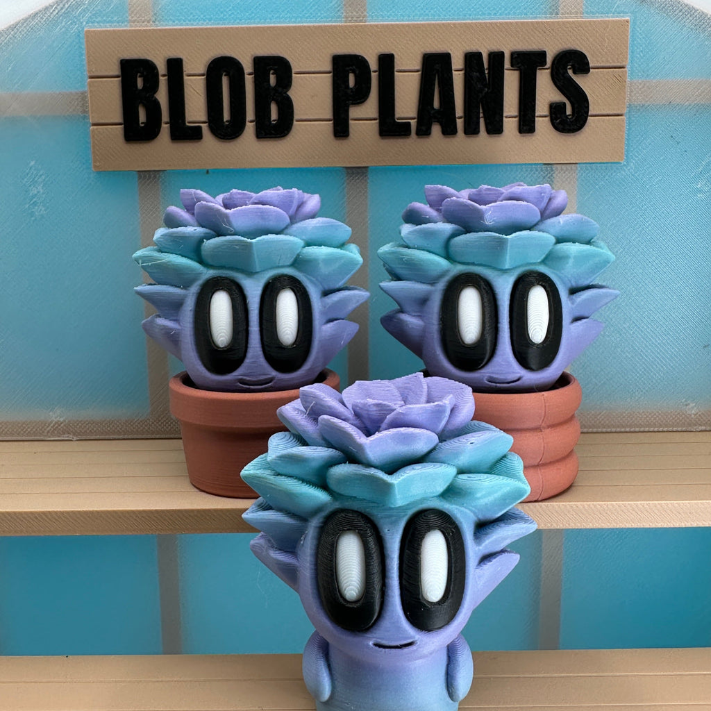 Succulent Blob Plant - Collectors World Toys