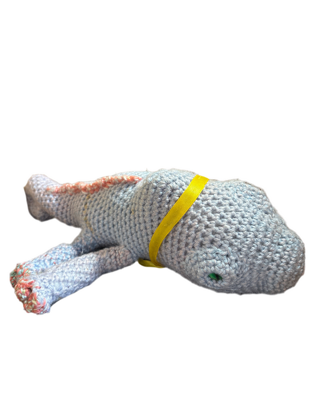 Chameleon Hover Image