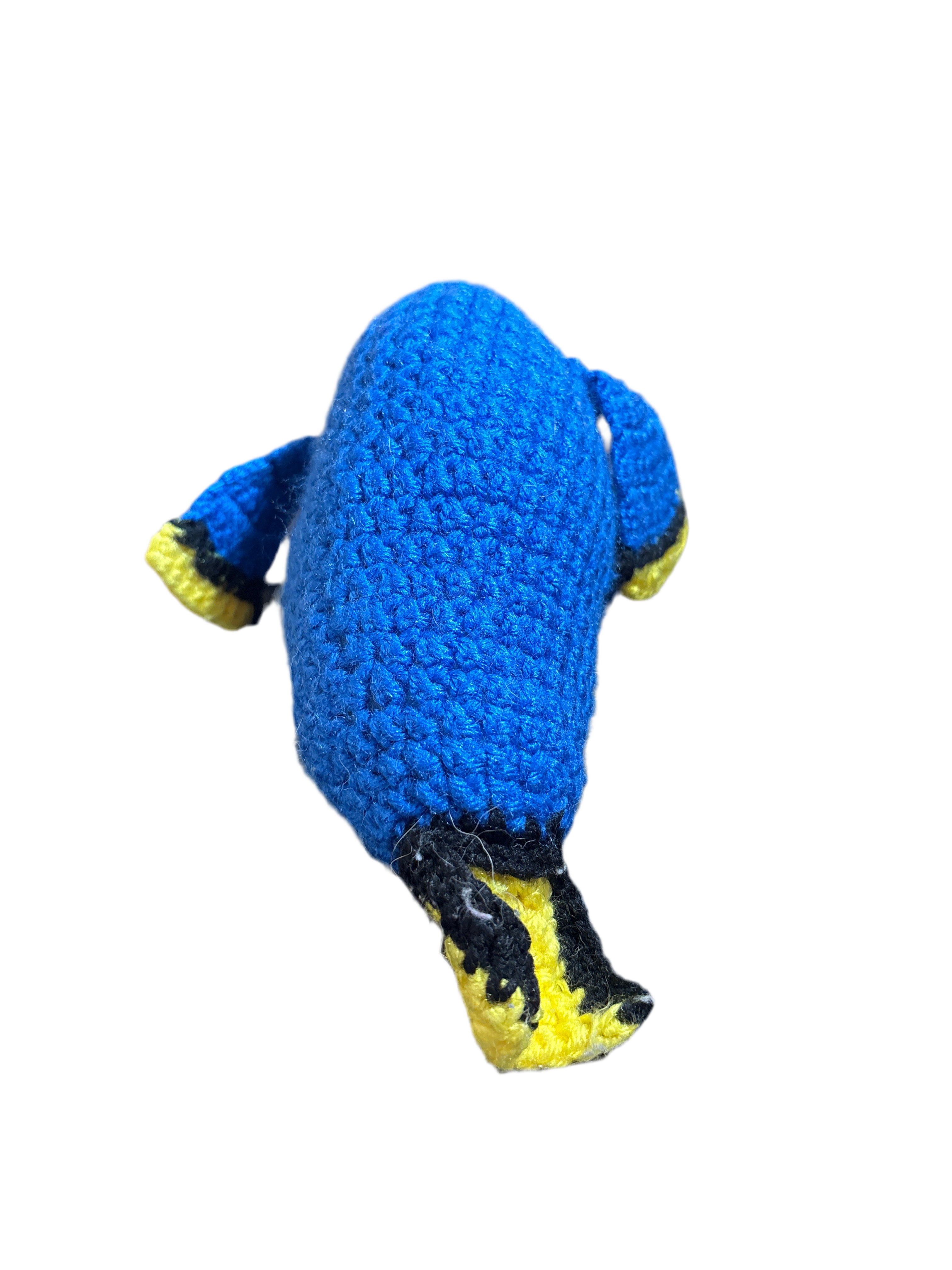 Blue Tang Secondary image