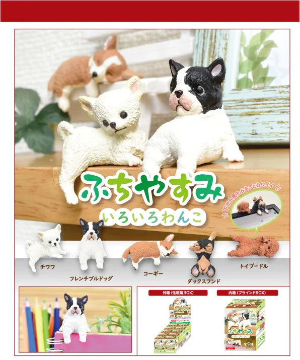 PLAYFUL HANGING DOGS BLIND BOX (1 Blind Box) Main image