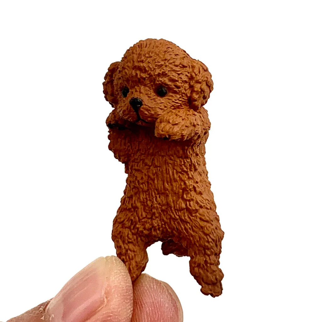 PLAYFUL HANGING DOGS BLIND BOX (1 Blind Box) - Collectors World Toys