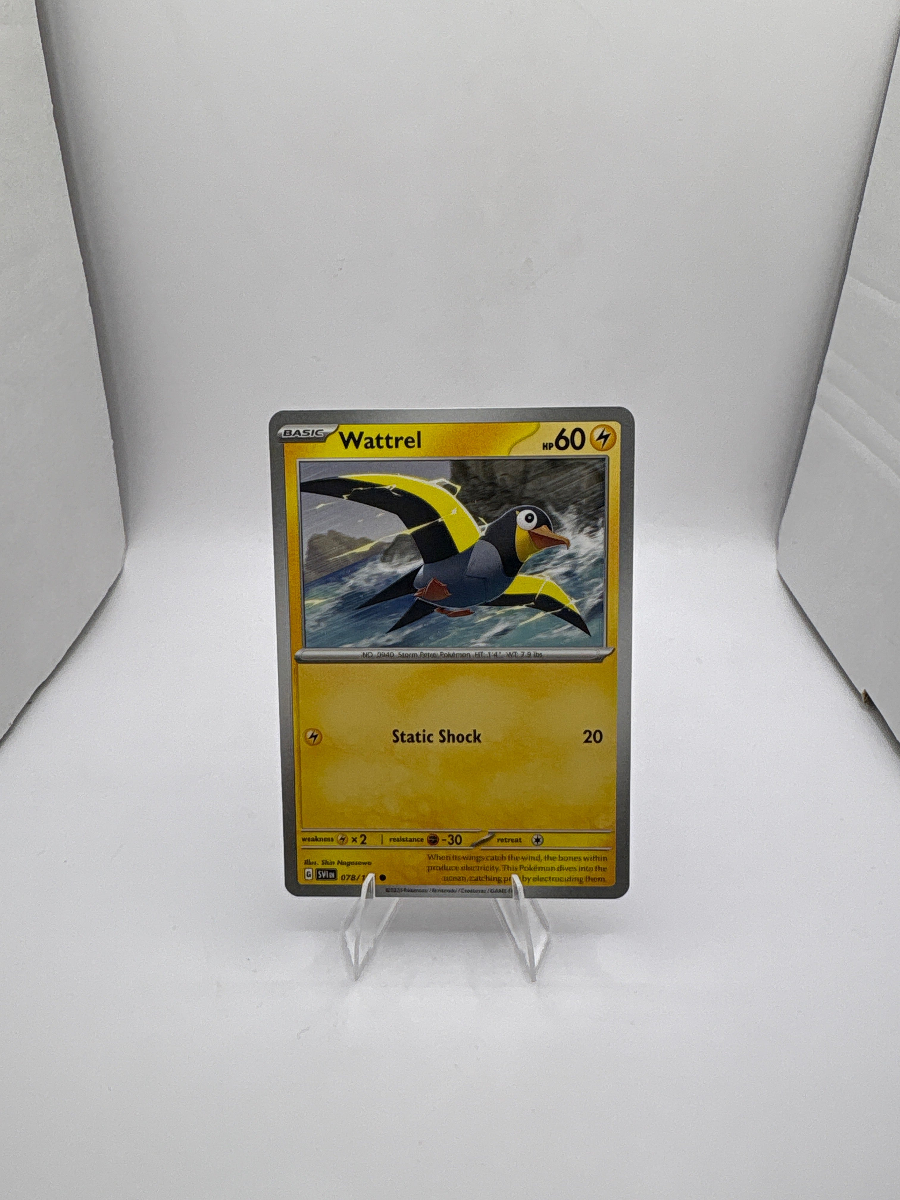 Pokemon Wattrel Main image