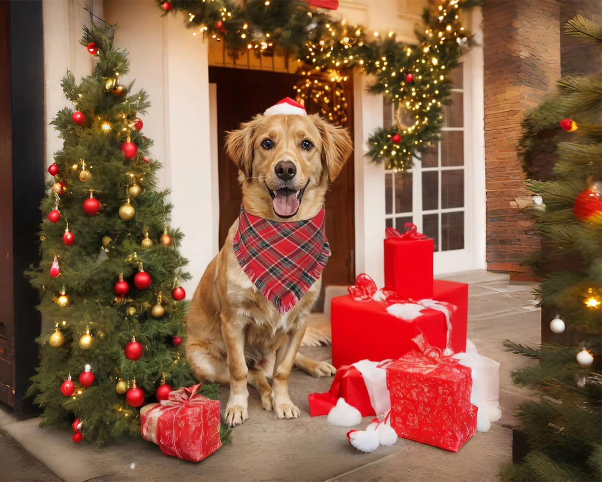 2PCS Christmas Dog Bandanas – Red and Green Plaid with Tassels