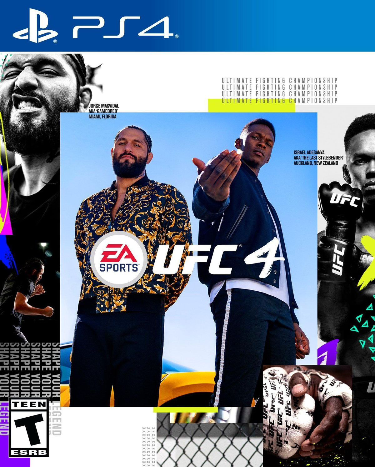 UFC 4 (PlayStation 4) Main image