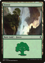 Forest (BFZ-272) - Battle for Zendikar