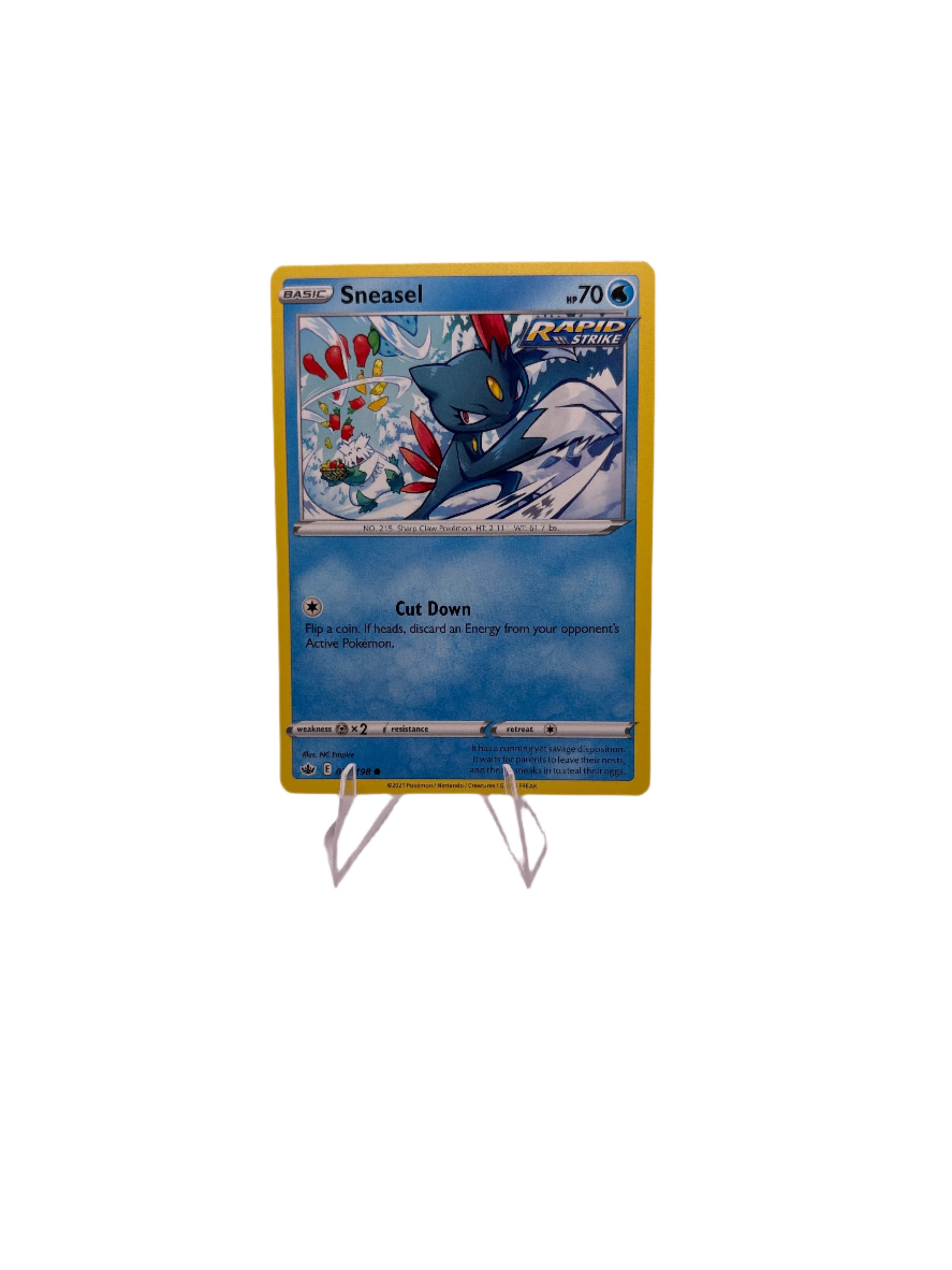 Pokemon Sneasel Main image
