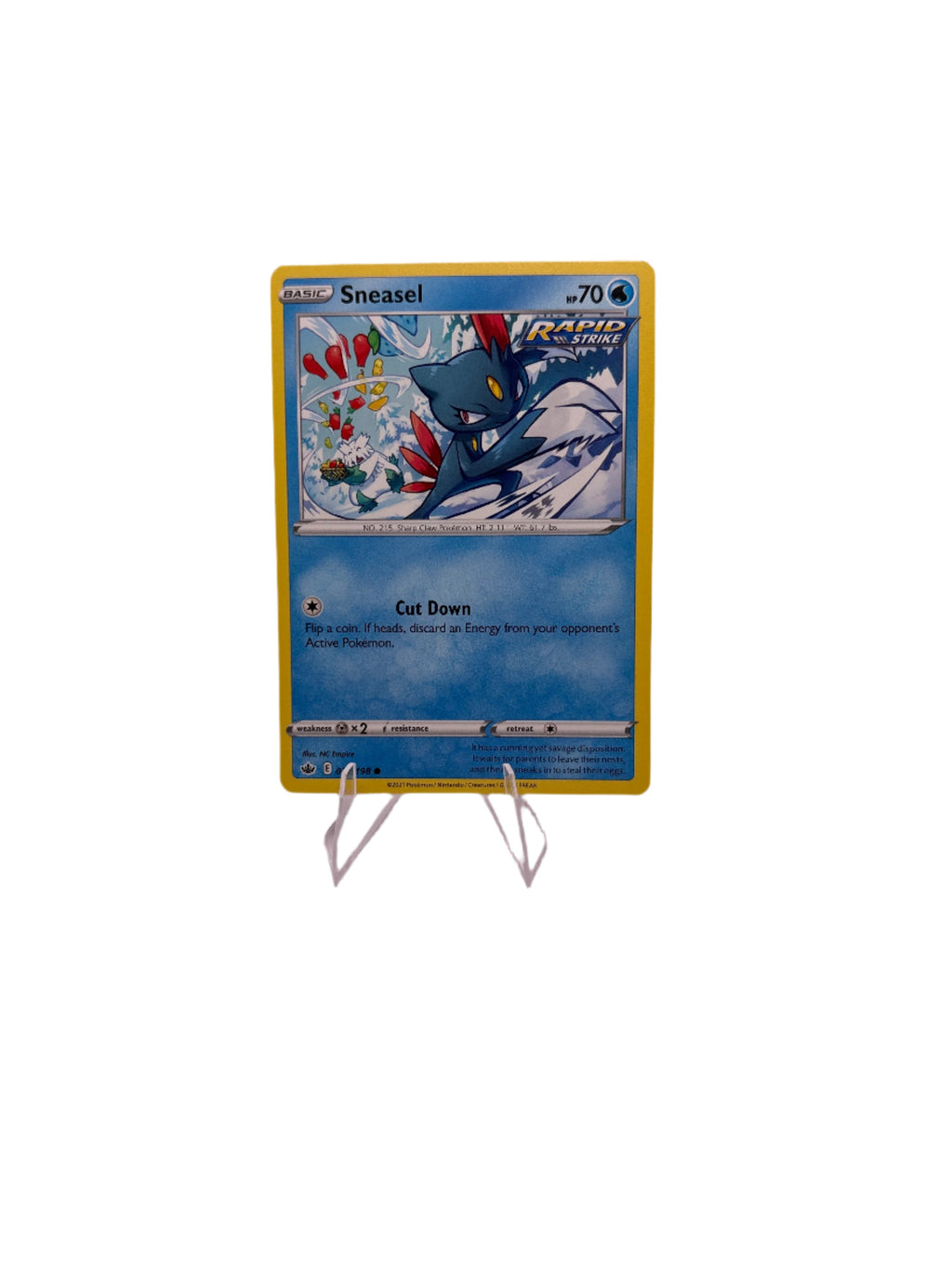 Pokemon Sneasel