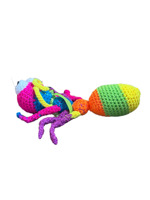 Ant