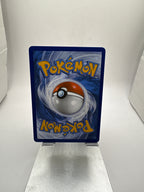 Pokemon Black Belt’s Training