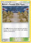 Brock's Pewter City Gym (54/68) [Sun & Moon: Hidden Fates]