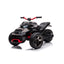 24V Freddo Spider 2 Seater Ride-On 3 Wheel Motorcycle