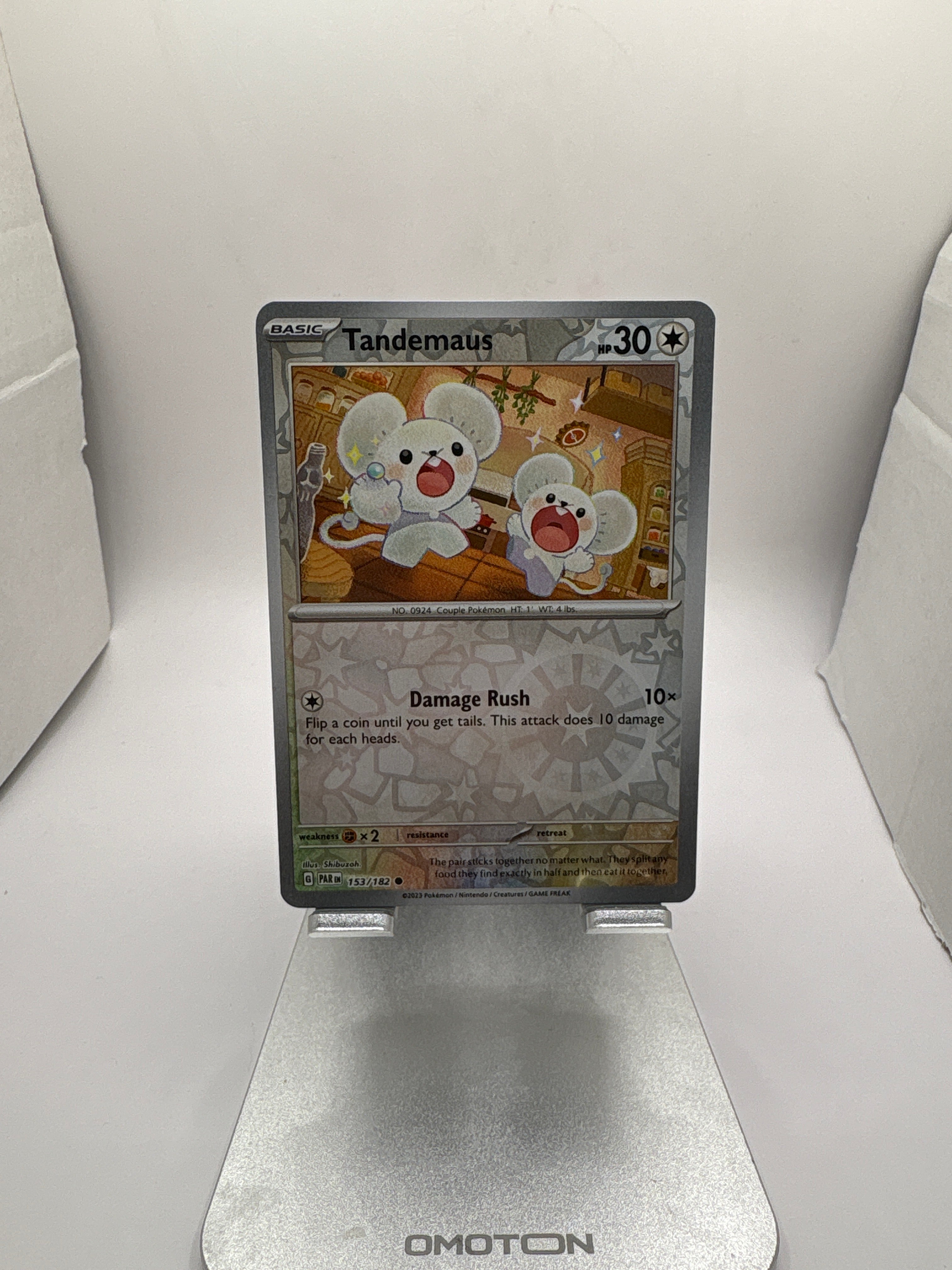 Pokemon Tandemaus Main image