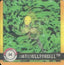 Bellsprout & Weepinbell (04) [1999 Pokemon Action Flipz Premier Edition]