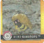 Kabuto & Kabutops (22) [1999 Pokemon Action Flipz Premier Edition]