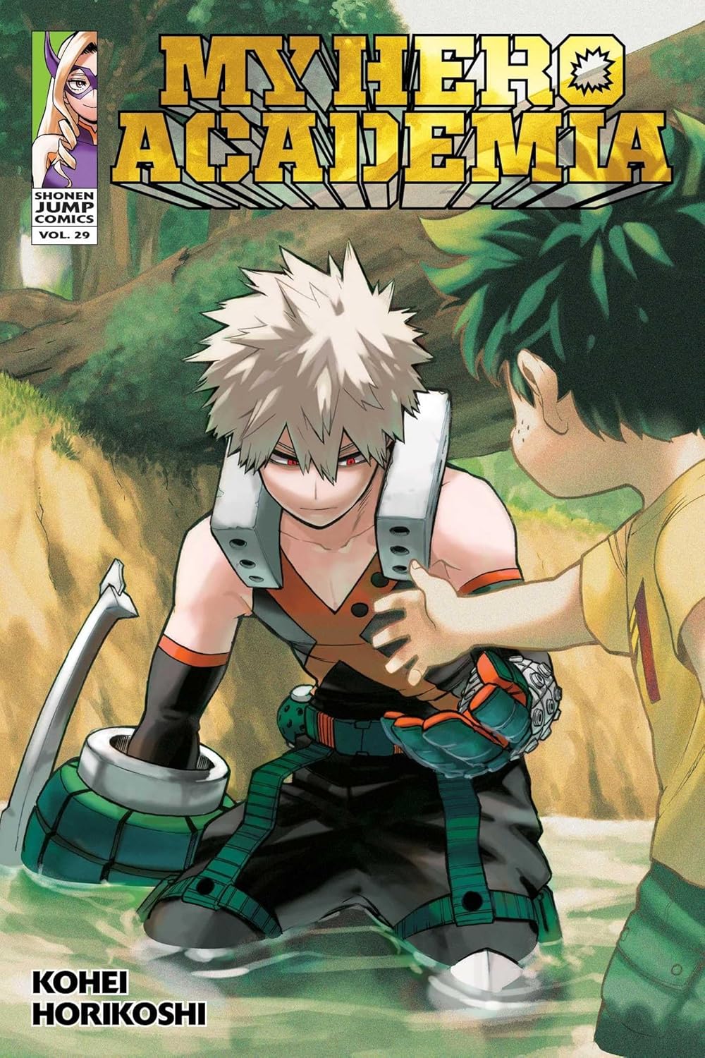 My Hero Academia VOL 29 Main image