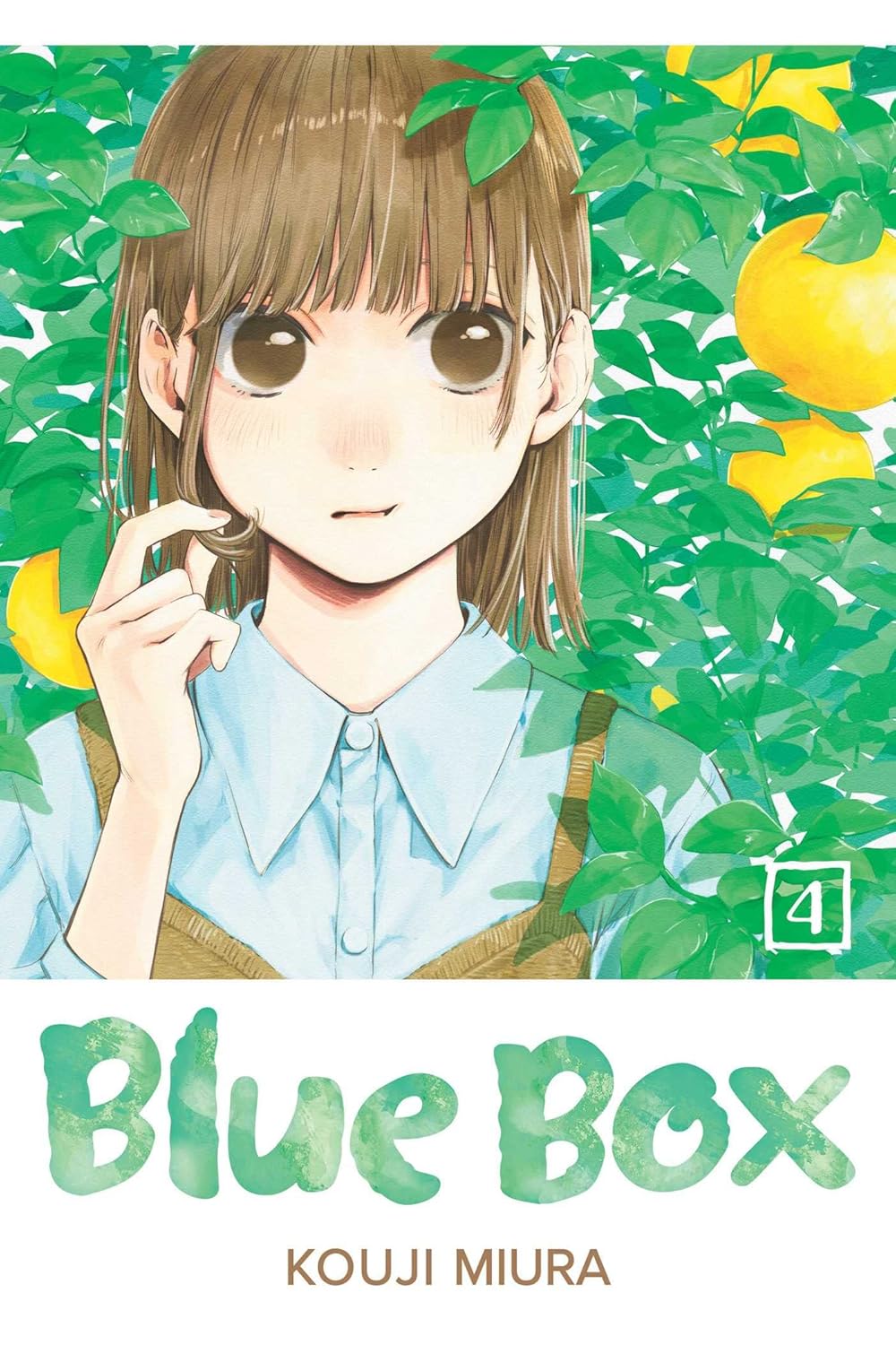 Blue Box VOL 4 Main image