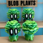 Succulent Blob Plant - Collectors World Toys