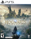 Hogwarts Legacy (PlayStation 5)