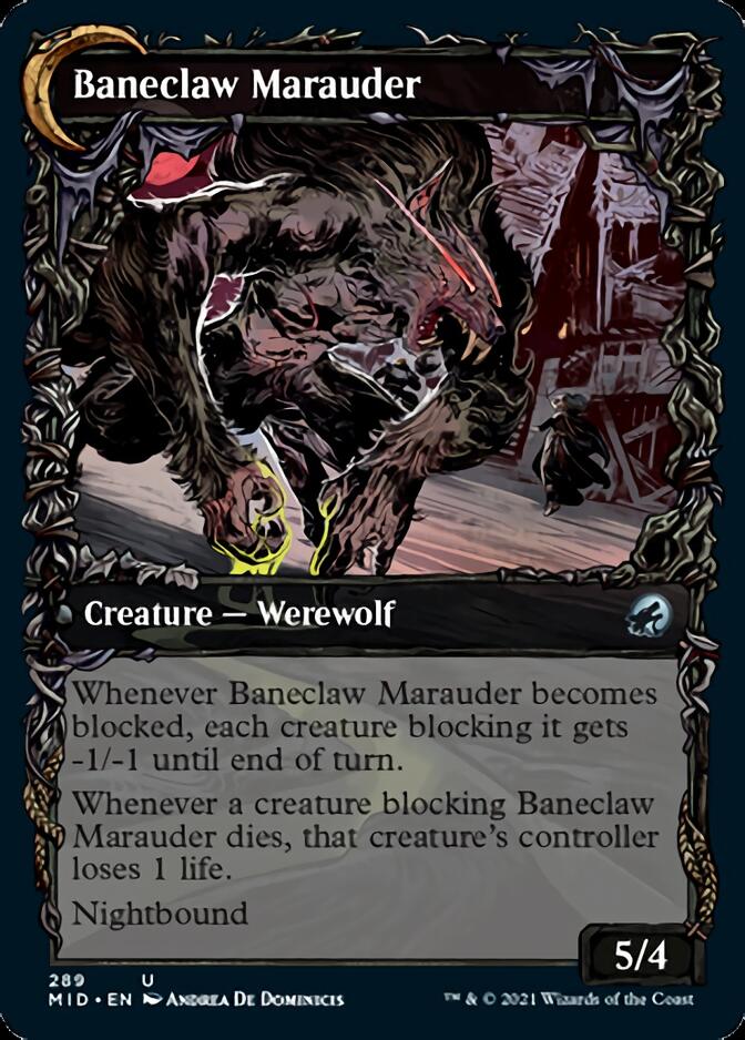 Baneblade Scoundrel // Baneclaw Marauder (MID-289) - Innistrad: Midnight Hunt: (Showcase, Double Faced Transform)