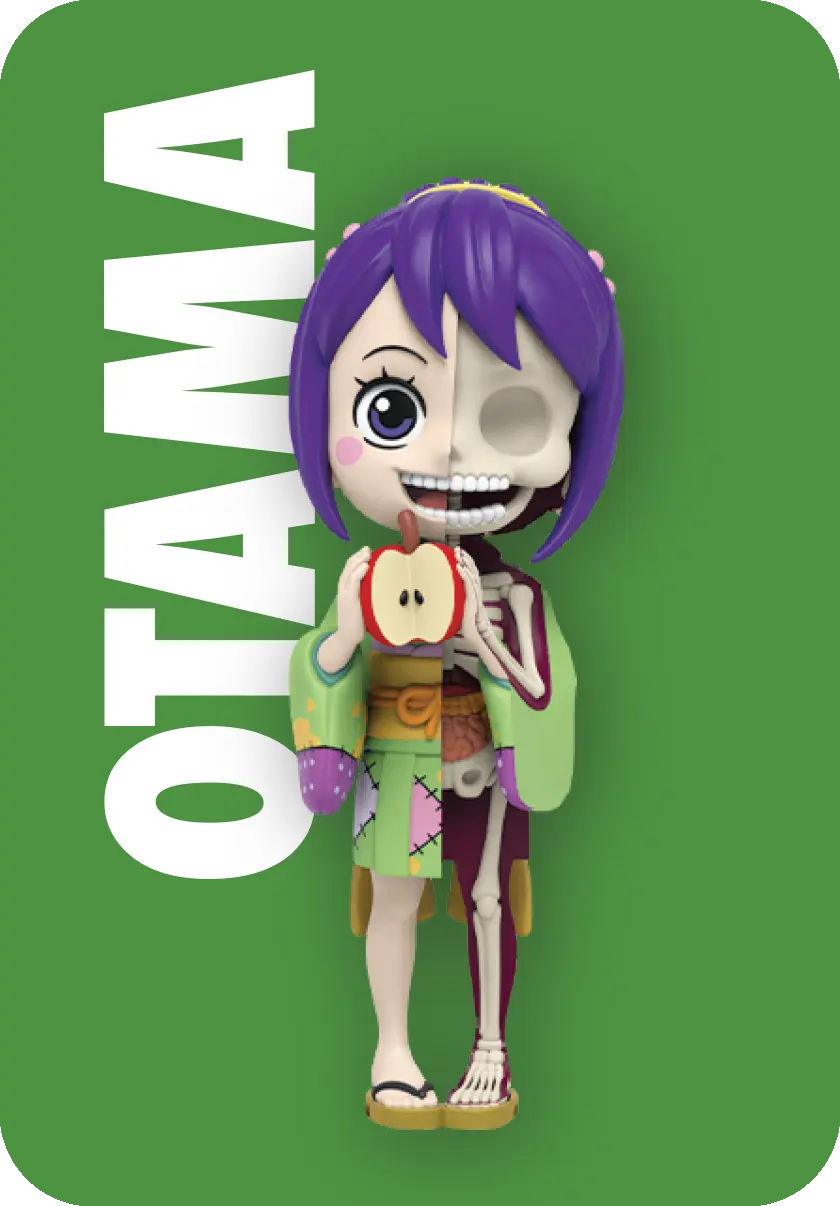 Freeny’s Hidden Dissectibles: One Piece (Ladies Edition) Blind Box (1 Blind Box) - Collectors World Toys