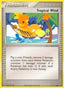 Tropical Wind (2004 World Championships) [Participation] 026/40 - Nintendo Promos