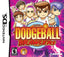Super Dodgeball Brawlers (Nintendo DS)