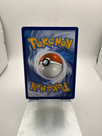 Pokemon Panpour