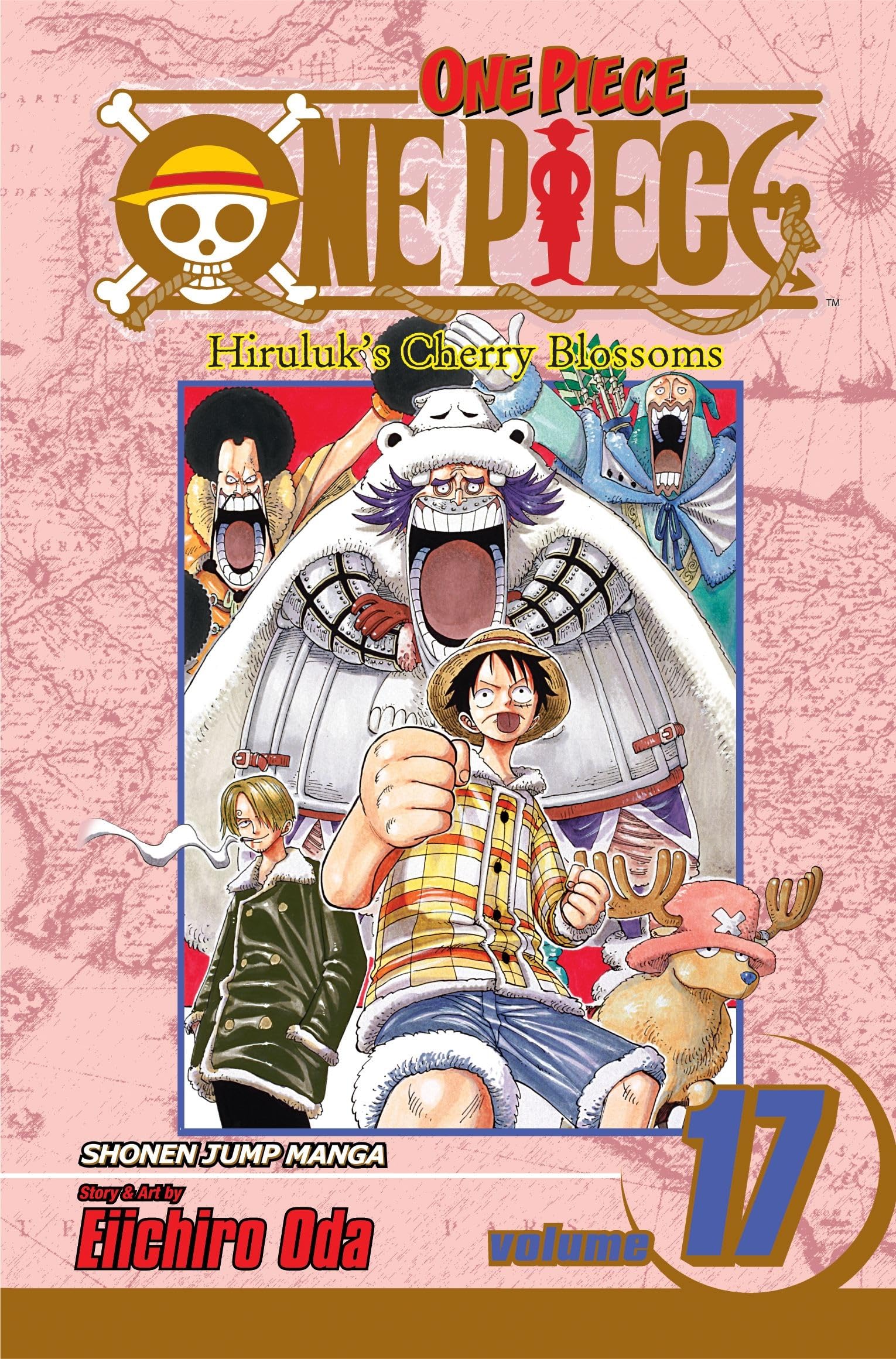One Piece VOL 17 Main image