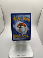 Pokemon Brute Bonnet