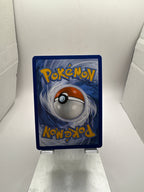 Pokemon Poochyena