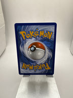 Pokemon Swinub