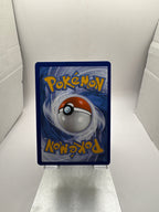 Pokemon Iron Hands