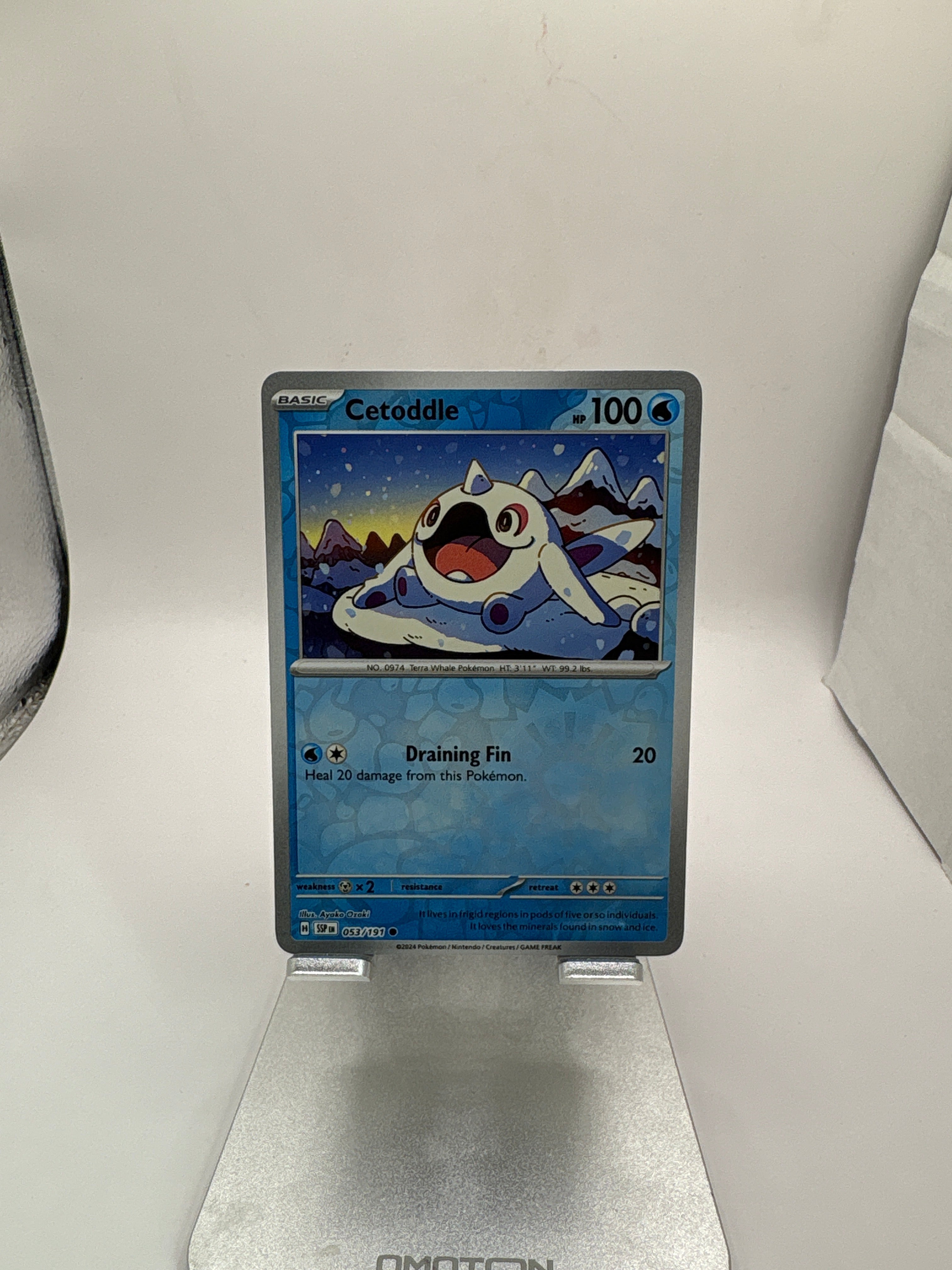 Pokemon Cetoddle