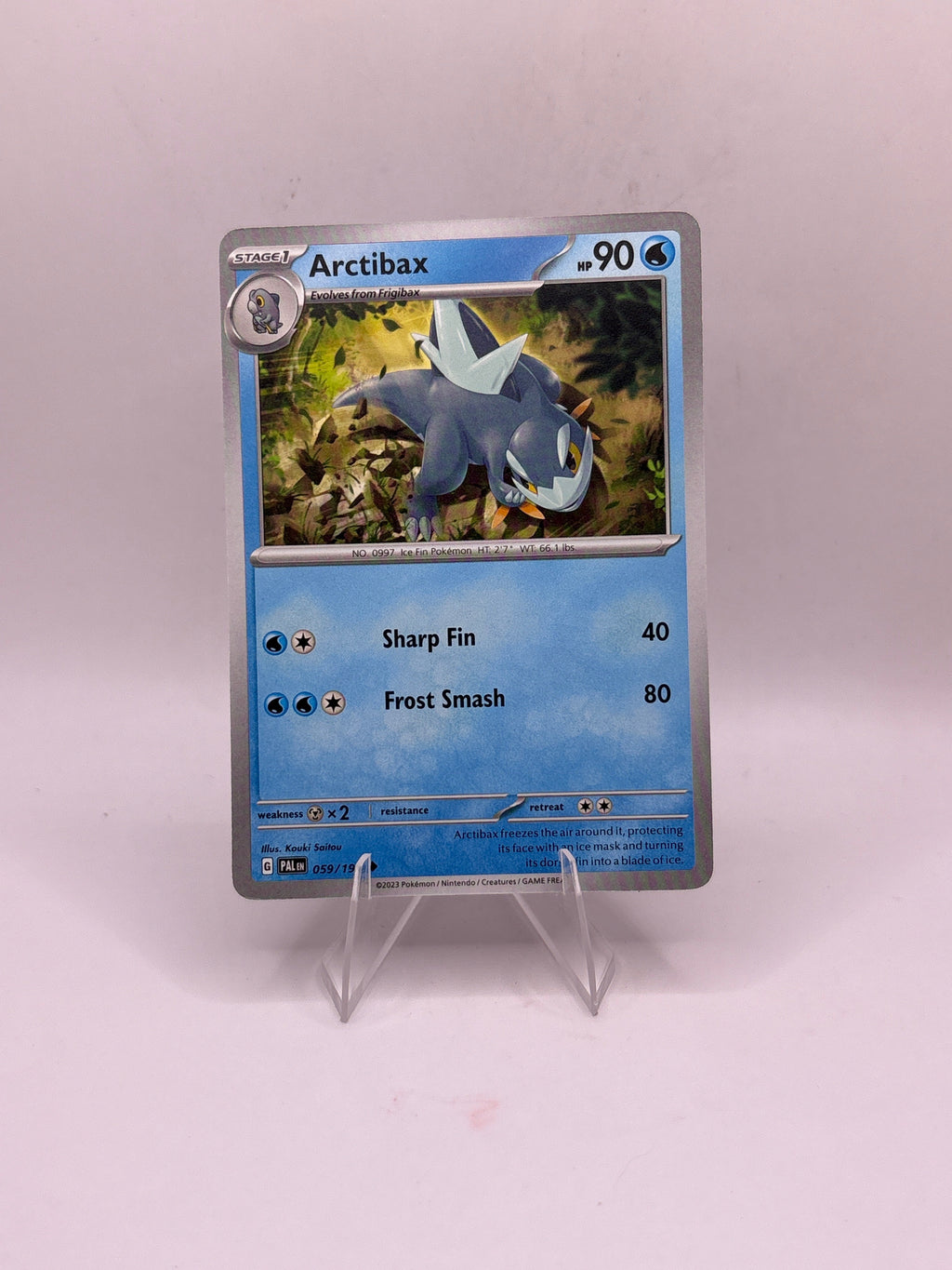 Pokemon Arctibax