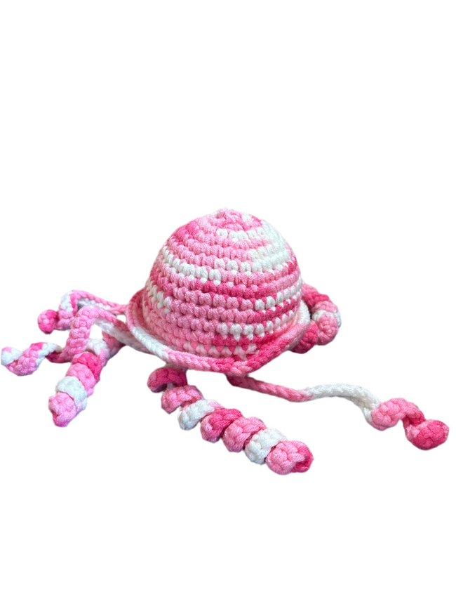 Jellyfish Main Image