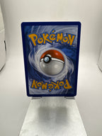 Pokemon Wingull