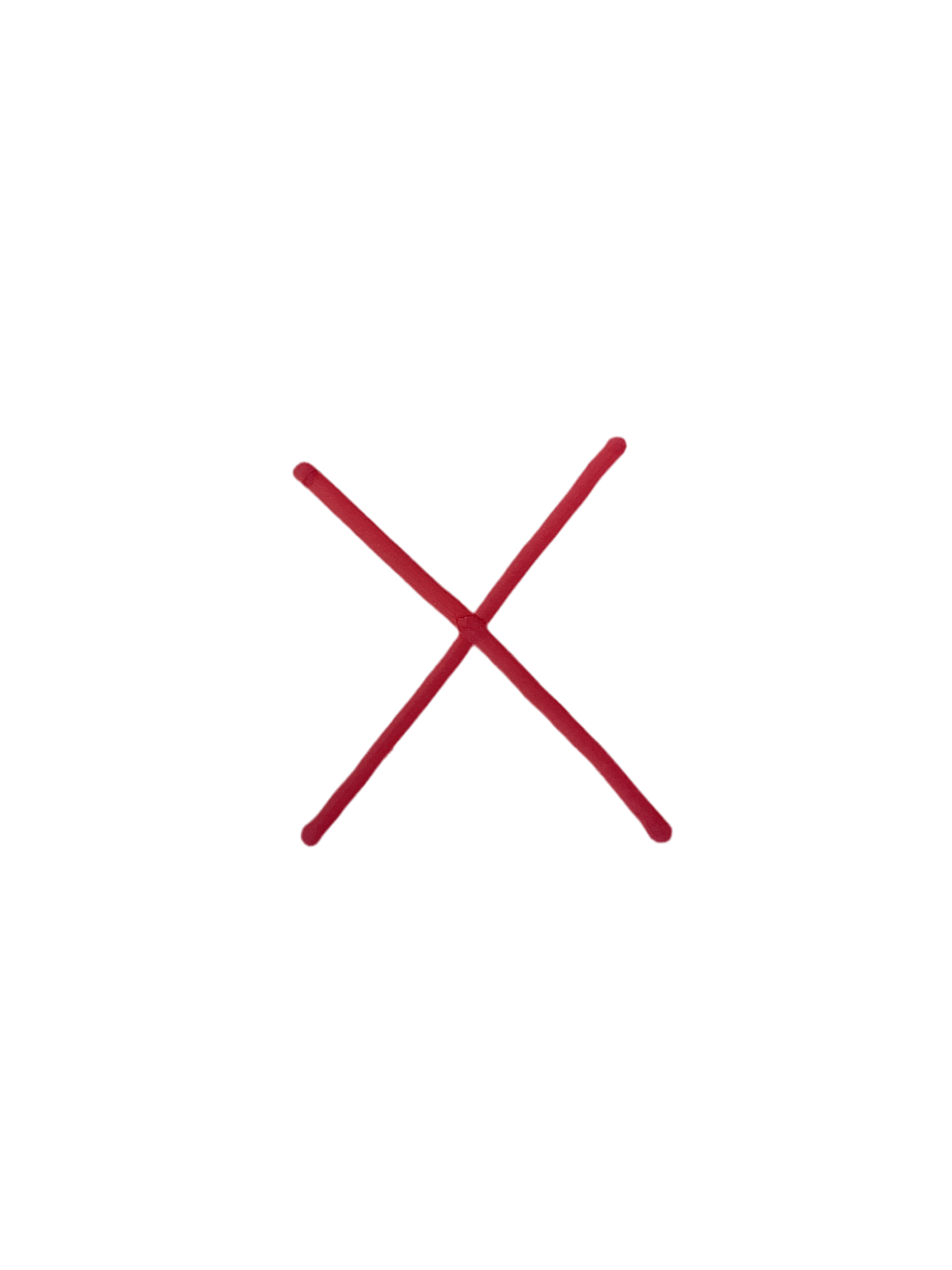 Rubber Ducky earrings